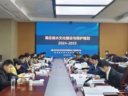 公司牵头编制的《湖北省水文化建设与保护规划（2024-2035年）》通过专家评审.jpg