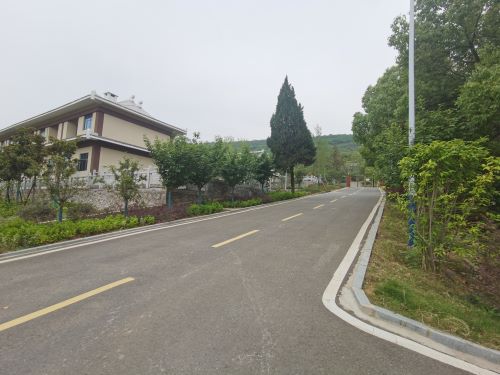 03管理区内部道路改造.jpg