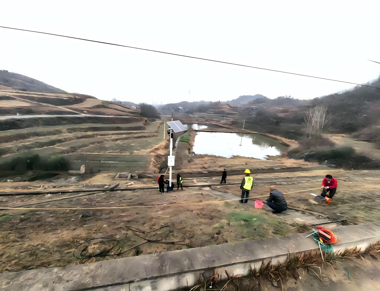 1767000255195099447.jpg WPS图片(1).jpg